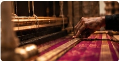 Master Weaver Crafting Saree on Handloom